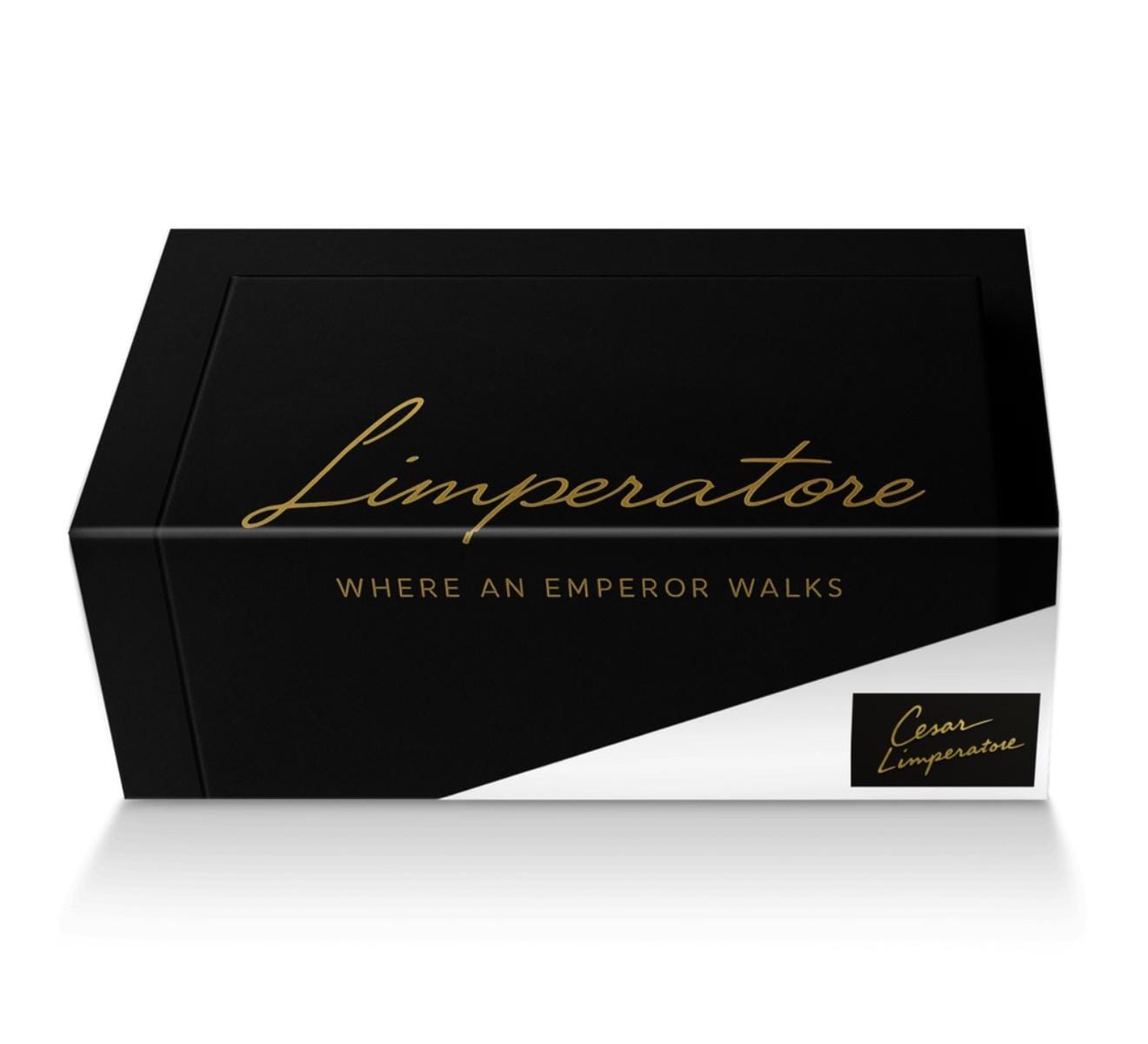 Cesar Limperatore Luxe Zipper High-Tops-Premium Black Leather Sneakers with Gold Detail